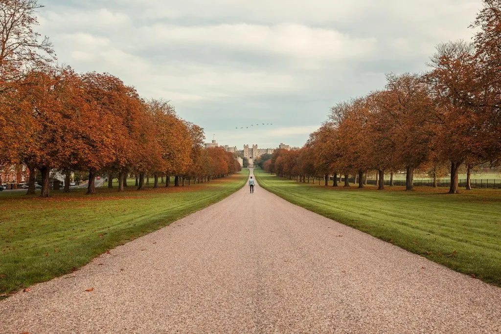person walking towards trees
