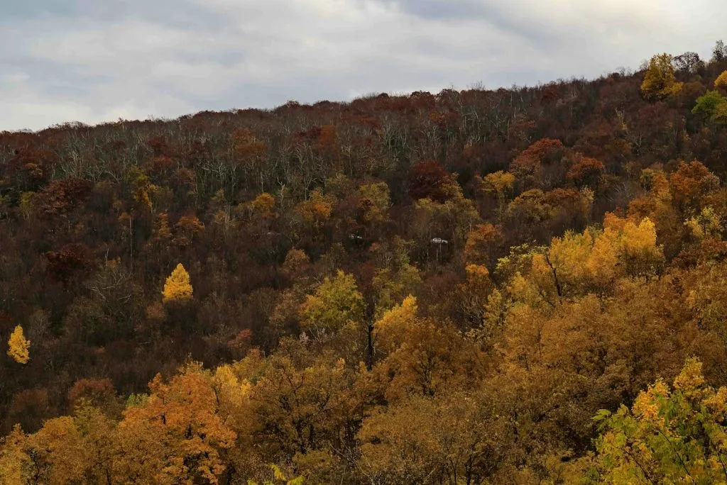 Shenandoah National Park is must visit place having many things to do in Charlottesville.