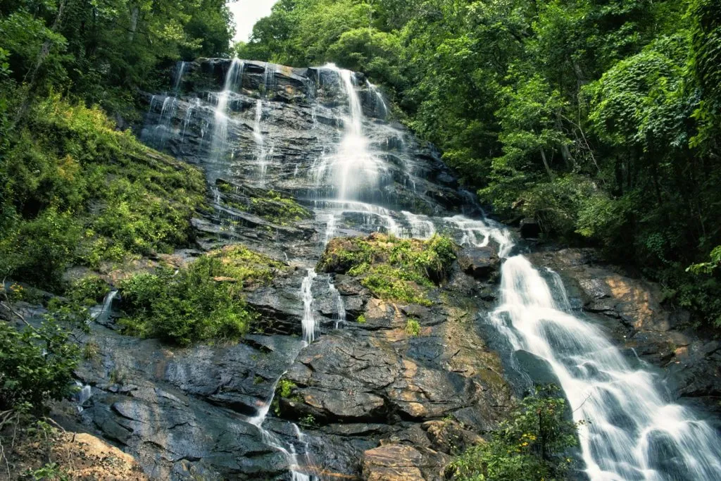 Explore the best things to do in Dawsonville.