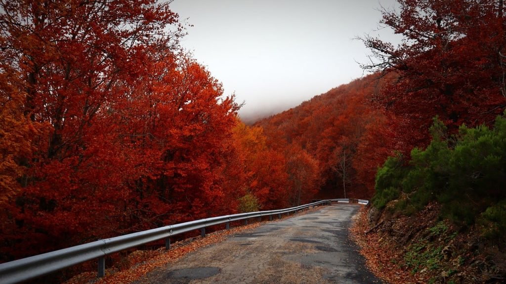 Going to the Road is one of best things to do in Montana Glacier National Park.