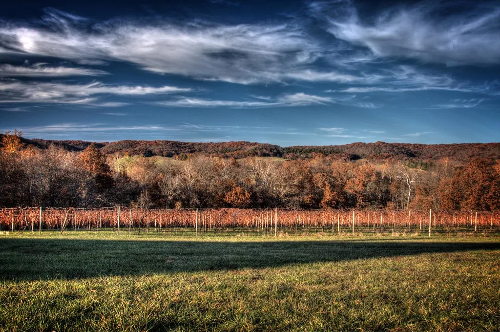 Explore the best activities and top things to do in Saint Charles
