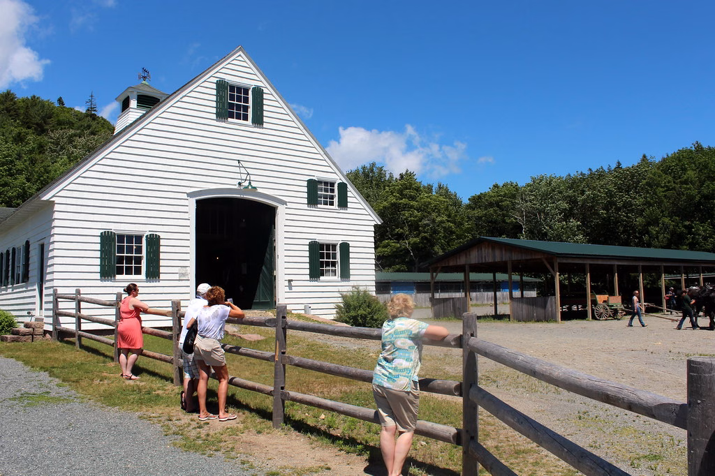 Wildwood Stables