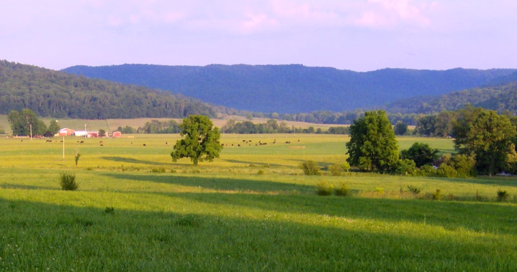 Cumberland Plateau