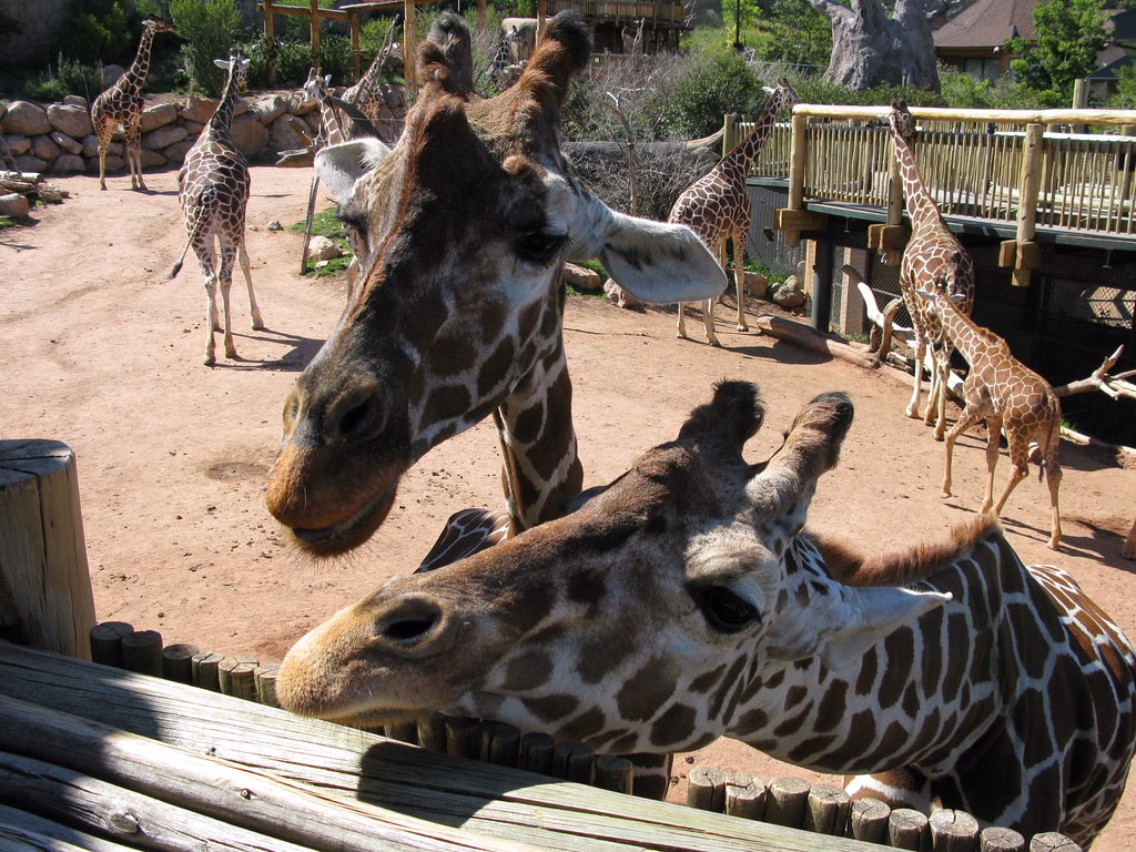 Cheyenne Mountain Zoo