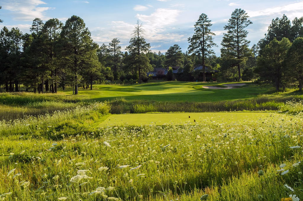 Forest Meadows Golf Course