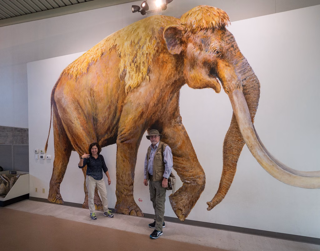 Waco Mammoth National Monument 